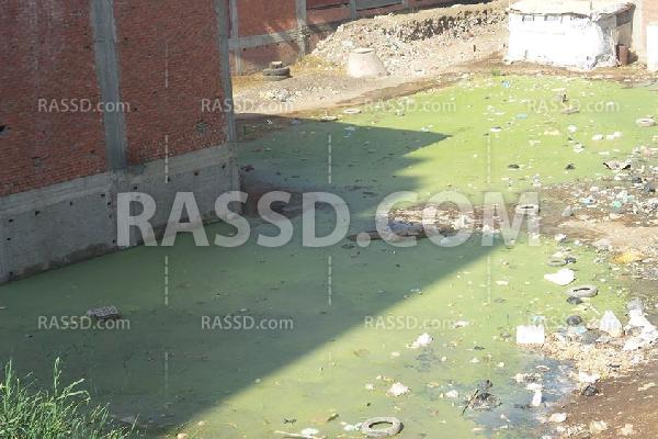 صور | أهالي المحلة الكبرى يعانون من تراكم “الصرف الصحي”