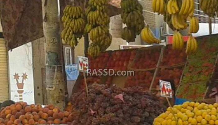 بالصور.. أسواق أبشواي.. ارتفاع أسعار البامية وإقبال على اللحمة المجمدة