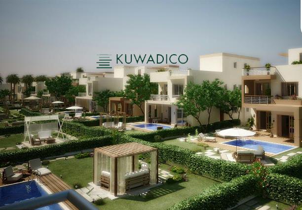 كواديكو توفر فرص عمل للشباب في مصر