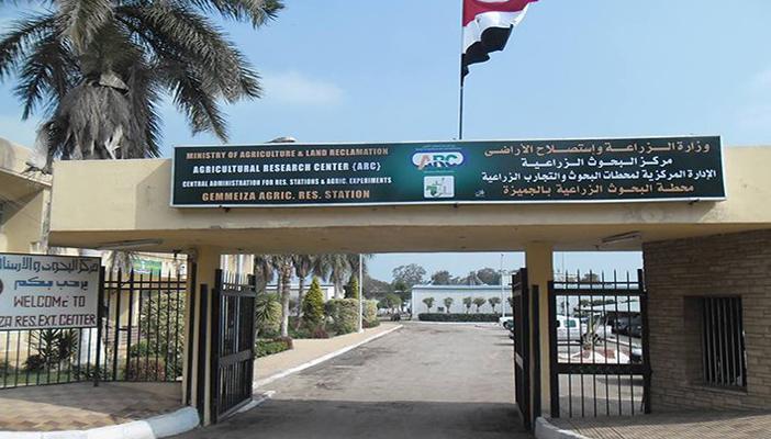 رئيس مركز البحوث الزراعية للمعتصمين: “روحوا للسيسي خليه يعينكم”