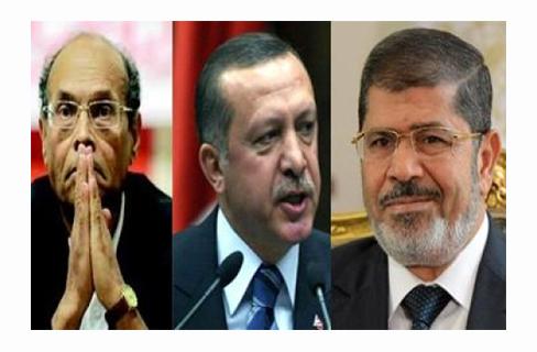 الديلي ستار: مظاهرات تركيا أربكت حكام مصر وتونس