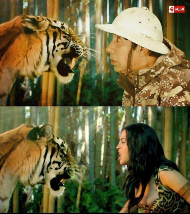 بالفيديو والصور.. حقيقة سرقة تتر برنامج الممثل “هاني في الأدغال”