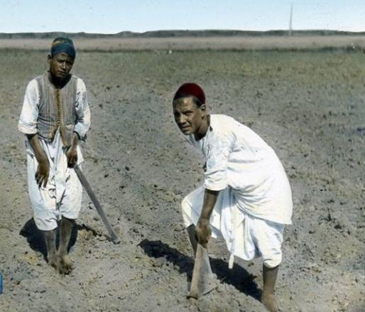 فتح باب القروض لتمويل فلاحي الوادي الجديد