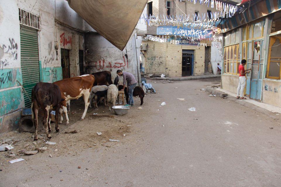 النظام يخير سكان مثلث ماسبيرو بين السكن غير الآدمي أو التهجير المفروض