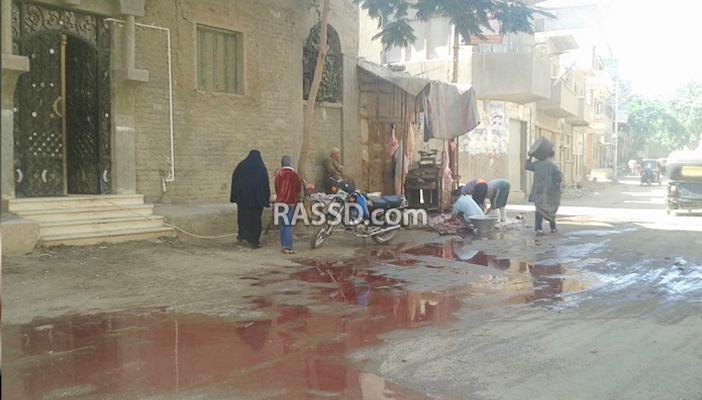 في غياب الرقابة.. بالصورة..ذبح البهائم في شوارع سنورس ثير غضب الأهالي