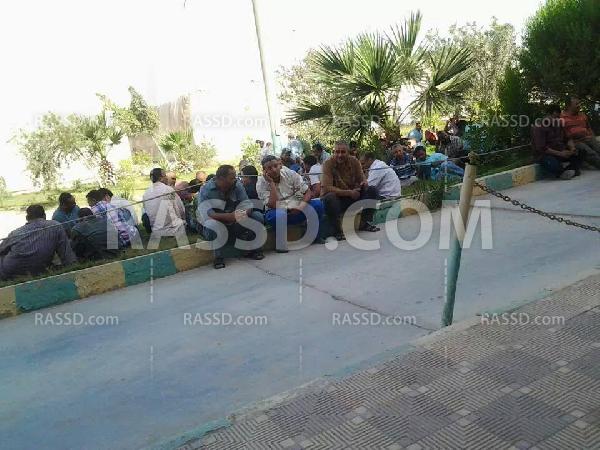 إضراب عمال شركة “الفيوم لصناعة السكر”