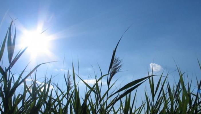 الأرصاد: ارتفاع بدرجات الحرارة أول أيام رمضان والعظمى بالقاهرة 39