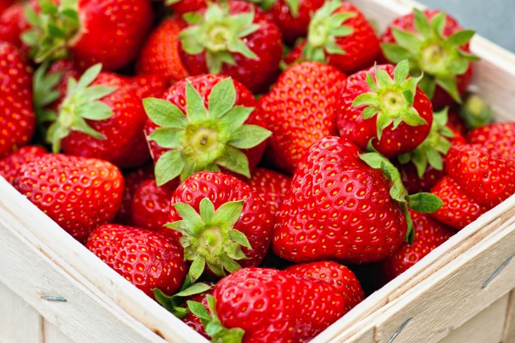 السعودية تحظر صادرات الفراولة المصرية