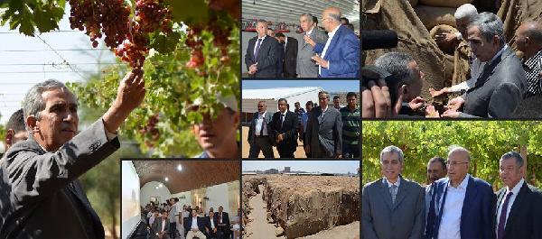 الجبزاوي:نطمح في تحقيق الاكتفاء الذاتى من القمح خلال عامين