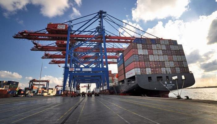 “ديلي نيوز”: تراجع الصادرات المصرية في مايو الماضي بنسبة 20%