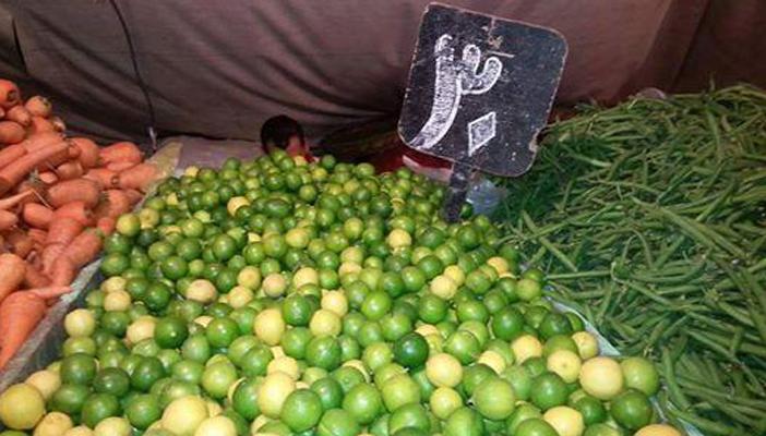 ارتفاع أسعار السمك المشوي ببورسعيد بسبب الليمون