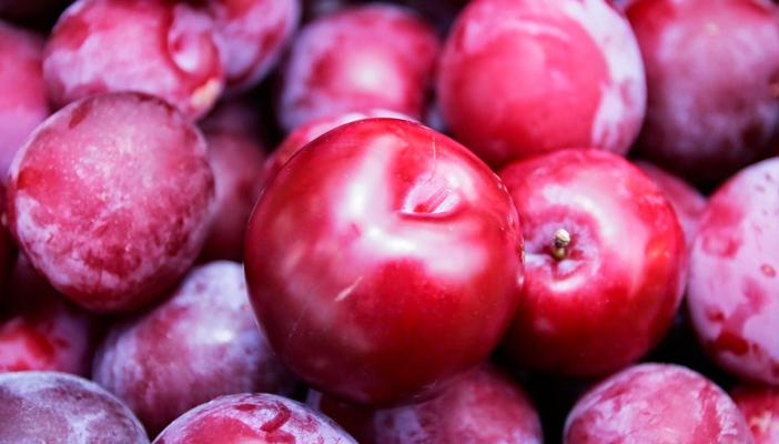 يحد من شيخوخة الجلد.. سعراته الحرارية منخفضة.. تعرف علي فوائد البرقوق