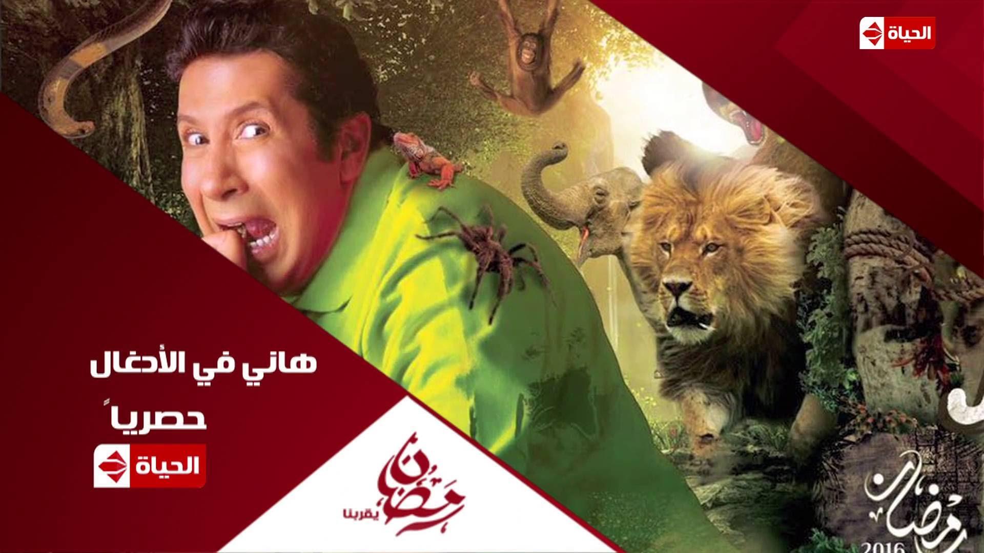 بالفيديو.. “مسيل دموع” و”مدرب أسود”.. دلائل فبركة برامج المقالب