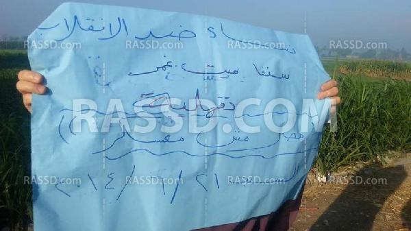 سلاسل بشرية بالدقهلية رفضا للانقلاب