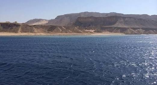 الصحافة العالمية: حكم بطلان “تيران وصنافير”.. نكسة مفاجئة للسيسي