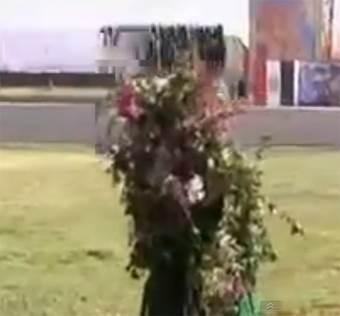 “الشرطي الشجرة”.. آخر صيحات الداخلية وقريبًا “الشرطي العناب”