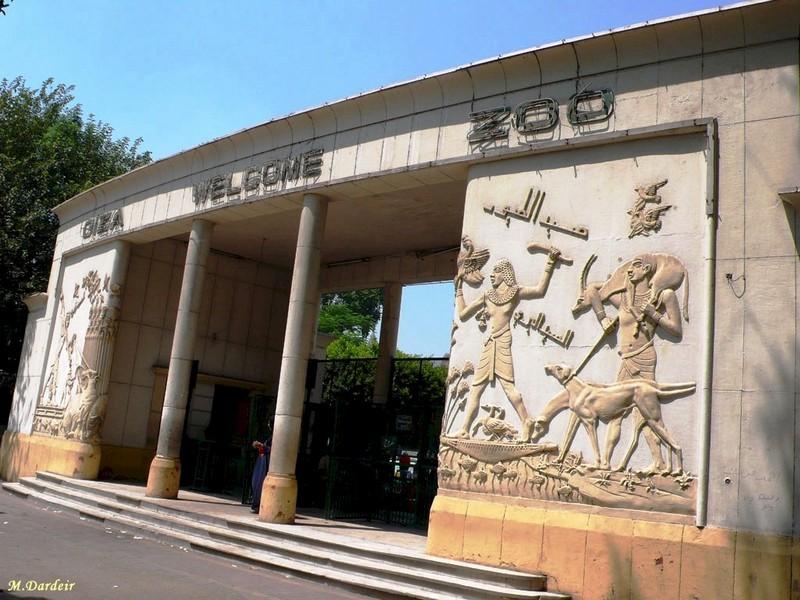 رئيس الإدارة المركزية يكشف تفاصيل حريق حديقة الحيوان