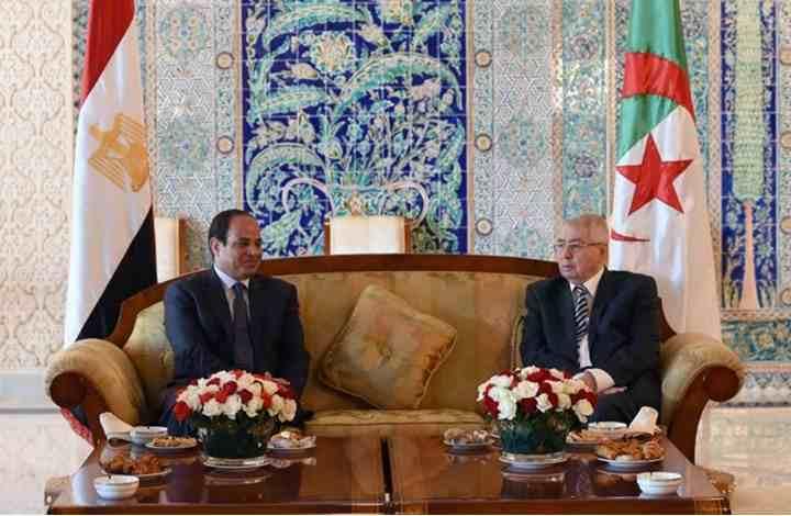 الغاز الجزائري يشعل فتيل الانتقادات للسيسي