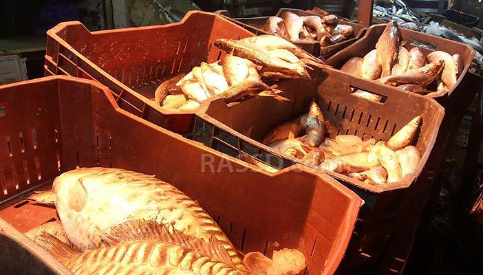 دراسة سويدية: تناول الأسماك يطيل العمر