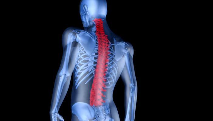 أستاذ جامعي: 90% من الكسور المرضية للعمود الفقري سببها هشاشة العظام