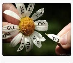 الأقصر ..استطلاع للرأي يبرز حالة انقسام غيرصحية