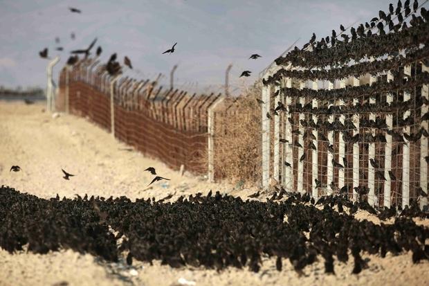 الطموح «السعودي الإسرائيلي» السري