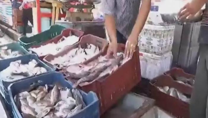 بعد ارتفاع اسعاره..السمك لم يعد الاكلة الشعبية في دمياط