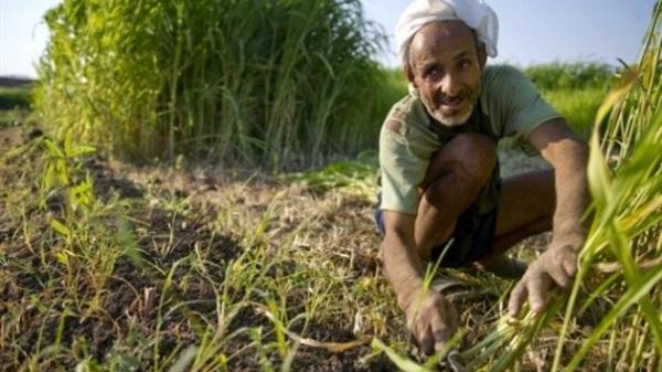 تعرف على ضريبة الأطيان التي أوقف مجلس النواب العمل بها لمدة 3 سنوات