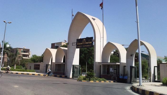 جامعة أسيوط تعلن القائمة النهائية لأسماء المرشحين لرئاسة الجامعة