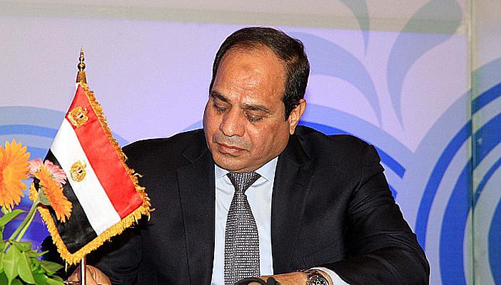 السيسي يصدر قرارا يجيز له إعفاء أعضاء الهيئات الرقابية من مناصبهم