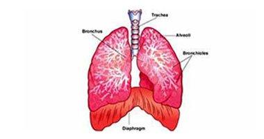 اكتشاف الجين المسئول عن الإصابة بسرطان الرئة وعلاجه