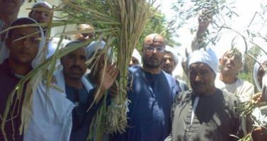 دراسة : تعرض المزارعين للمبيدات الحشرية يصيبهم بسرطان الدم