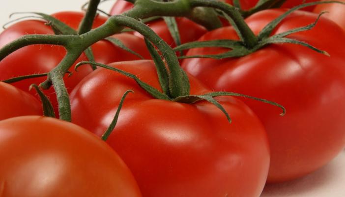 تعزز المناعة.. تحافظ على القلب.. تعرف على فوائد الطماطم