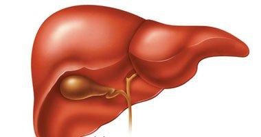 تقنية جديدة لحفظ الكبد عند نقله من مريض لآخر قبل زراعته