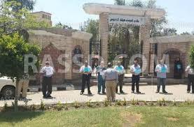 وقفة لأعضاء هيئة التدريس بجامعة المنصورة تضامنًا مع غزة