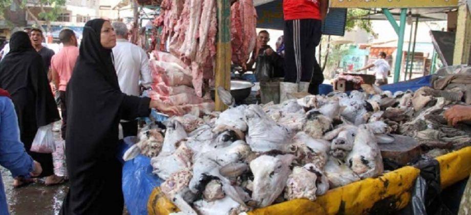 هياكل الدواجن وعفشة المواشي..غذاء الفقراء في عهد السيسي