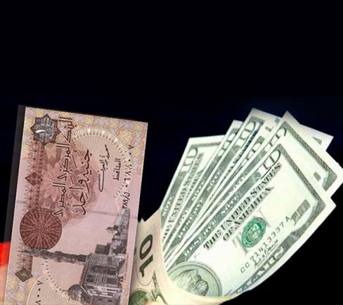 الدولار يواصل الاستقرار ويسجل 7 جنيهات رسمياً