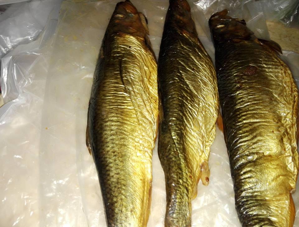 ضعف الإقبال على شراء الرنجة والفسيخ ببورسعيد