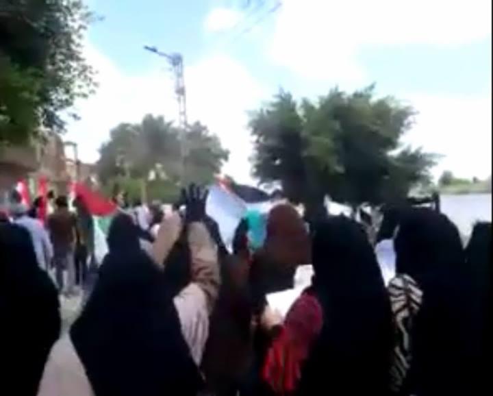 ثوار دمياط ينددون بالانقلاب في أسبوع “يسقط عسكر أمريكا”