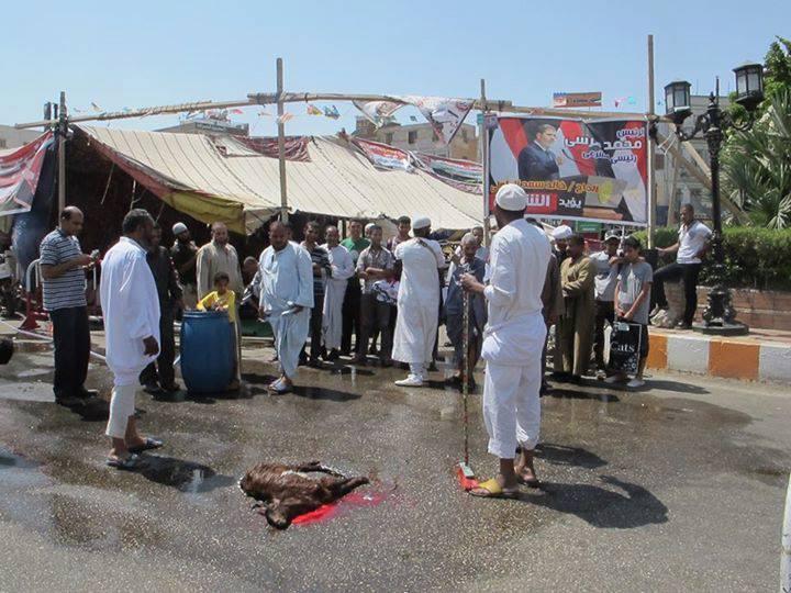 الثوار يذبحون الذبائح لإفطار المتظاهرين بقنا