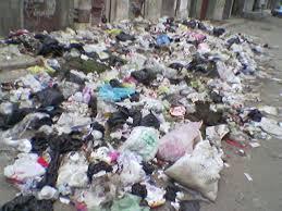 كفر حجازي بالمحلة تغرق في القمامة وسط غياب تام للمسئولين