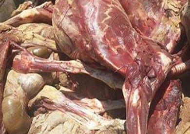 ضبط سيارتين محملتين بـ 8 حمير مسلوخة بالفيوم