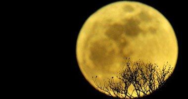 اليوم.. العالم يحتفل بمرور 45 عاما على صعود الإنسان للقمر