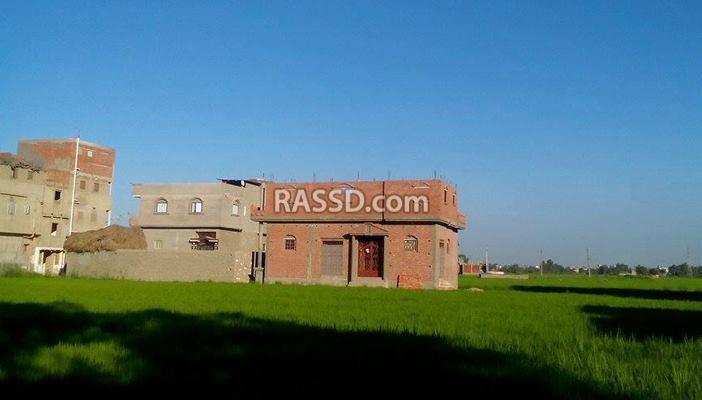 فلاحو دمياط يستغيثون.. أنقذوا أراضينا الزراعية من الخطر