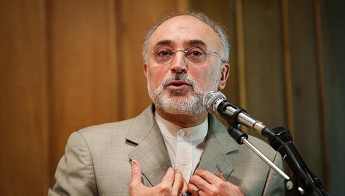 رئيس منظمة الطاقة: إيران تبدأ في بناء 4 محطات نووية جديدة