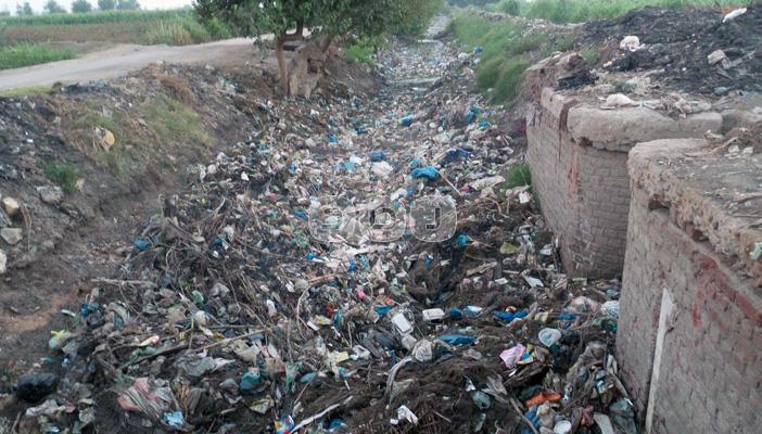 جفاف الترع وزيادة تكلفة المحاصيل يؤرقان فلاحي الشرقية