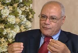 العوا:نزول الملايين يوم الجمعة لا يؤدي إلى تفويض أحد