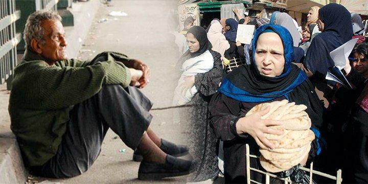 “الإحصاء”: أكبر أسرة في بنها 28 فردًا و9 يعيشون في حجرة واحدة بالسلام