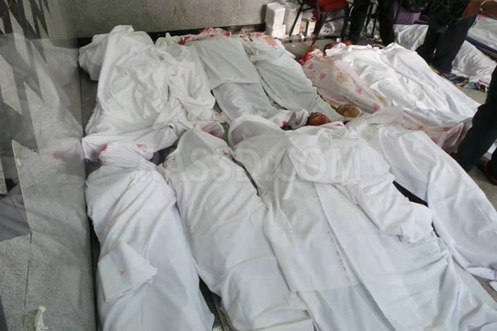 مستشار شيخ الأزهر : أين البرادعي المشارك في الحُكم؟!