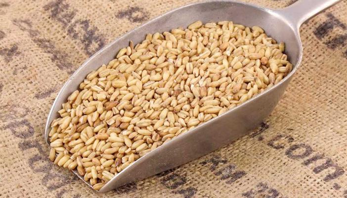 6 أطعمة تساعدك على حرق الدهون